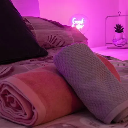 Urban Loft - Purple Loft