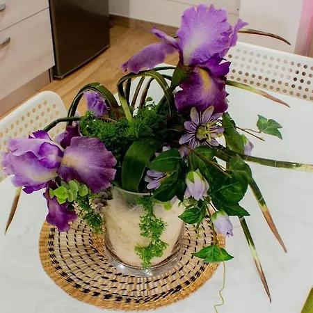 Urban Loft - Purple Loft טורינו