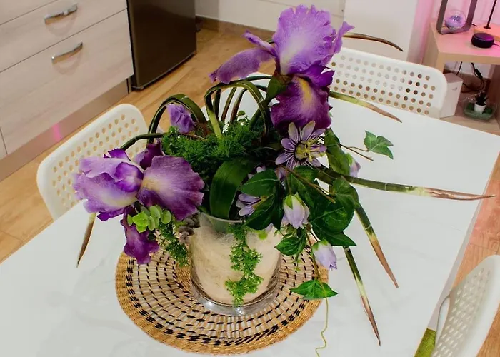 Urban Loft - Purple Loft Turim